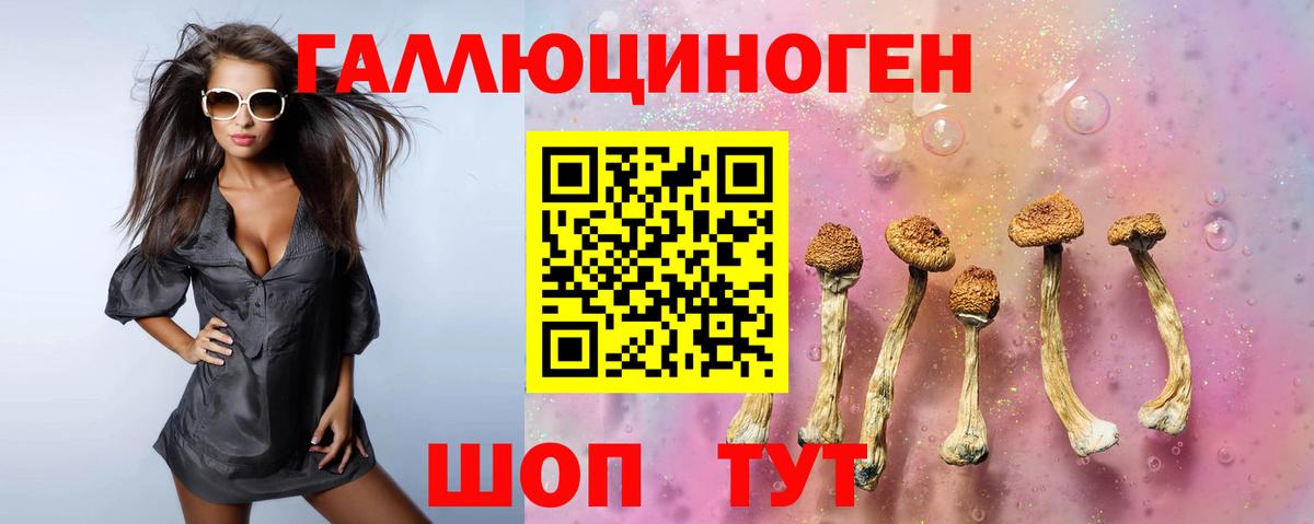 Кстово  Псилоцибиновые грибы MAGIC MUSHROOMS  Вход с VPN 